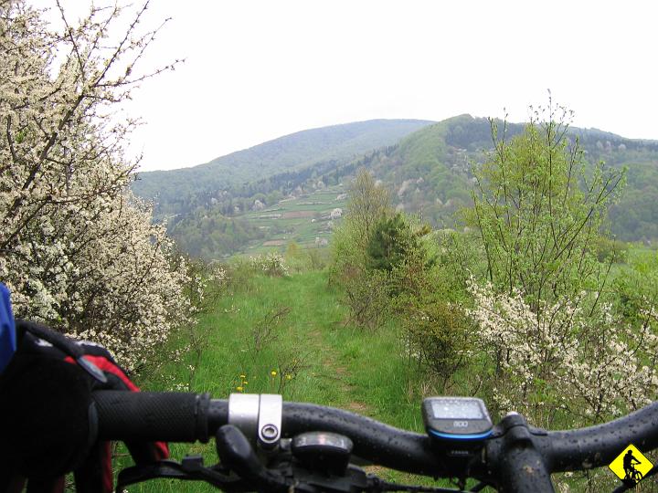 fot 076.jpg - Ktoś jest spostrzegawczy zauważy, że mam p/deszcz na sobie i mokry rower :) Tak, zaczęło padać kilka min temu. Na zjeździe do Nowej Wsi (Cergowa druga w tle).